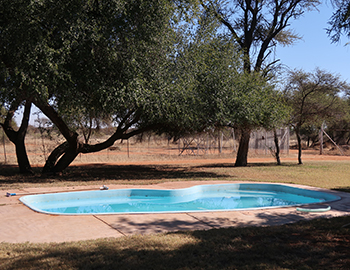 Swimming Pool at Savanne Game Ranch